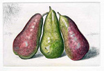 Roberts_huddled pears